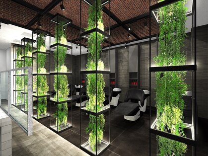 ウィズ 船橋習志野店(Wiz)の写真