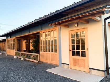 セル(CELL)の写真