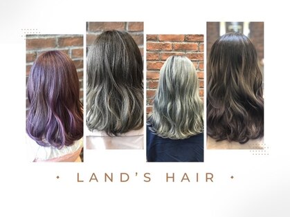 ランズヘアー(LAND’S HAIR)の写真