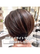 アッシュ 中山店(Ash)&nbsp;【家郷限定】極細ハイライトで魅せる白髪ぼかしカラー