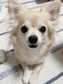 ジュネス 銀座(JYUNESU) 実家の愛犬☆