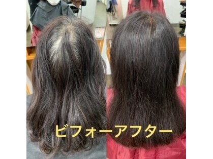 髪美人の写真