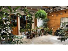 リーフノット(Reef knot)の雰囲気（インテリアは手作りの物もあります）