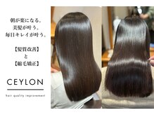 セイロン(CEYLON)