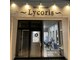リコリス(Lycoris)の写真