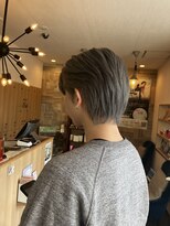 エルバイシオン(aile by sion)&nbsp;シルバーアッシュ　ブリーチ一回