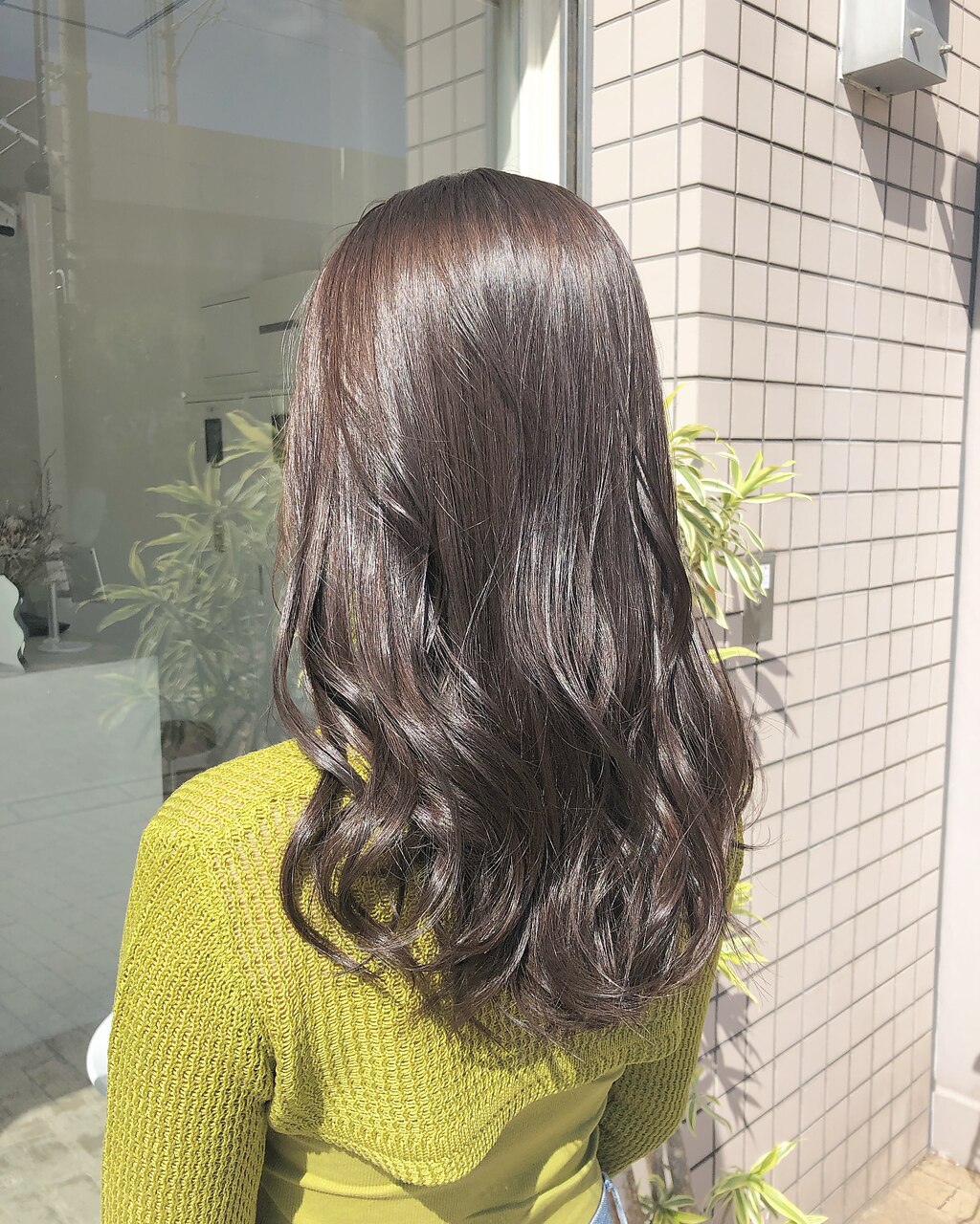 イルミナカラー【オーシャン×サファリ】：L146052346｜ミニョンエス