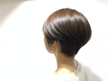 リトルスター(Little star)の写真