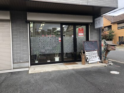 樹ノ葉の写真