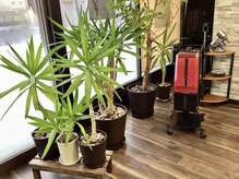 美容室ル・アールの雰囲気（ダイソン、ナノスチーム完備～観葉植物と共に～）
