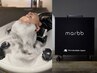 カット・marbbヘッドスパ