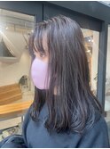 ラベンダーシルバー LAVENDER SILVER
