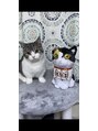 アージアム バイ アイリコ たまプラーザ(arseum by IRICO) 愛猫のレオくん2歳です。猫好きさんお声掛けて下さい。