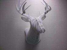 シカちゃんです!!!（笑）