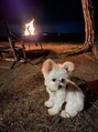 ウサギ 夏&nbsp;キャンプでの一コマ☆彡愛犬と