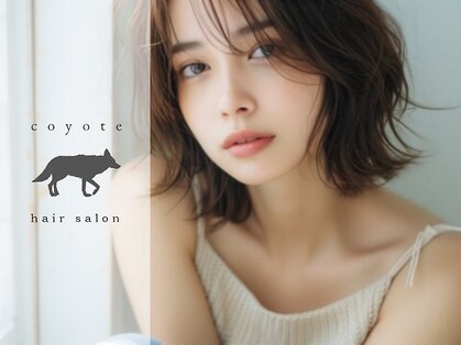 コヨーテ(coyote)の写真