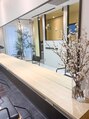 ハブ(hub)&nbsp;ーfoliage plantー緑の中のリラックス空間