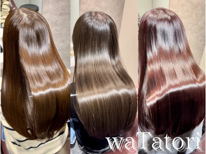 ワタトリ(waTatori)の写真