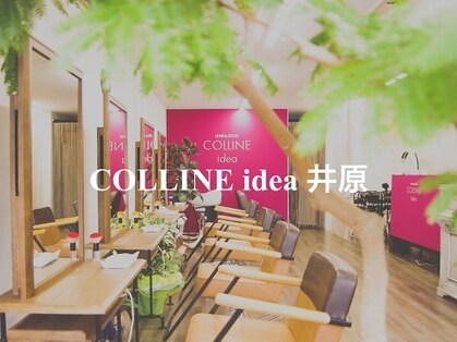 COLLINE idea　井原