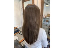 ベゴニアプラス(BEGONIA+)