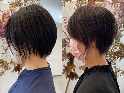 アクシス(AXIS)の写真