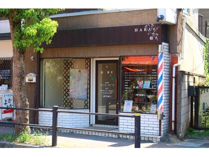 ハルの樹(HARUの樹)の写真