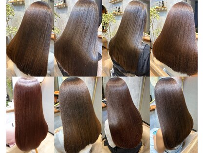 ビスケ(BiSKe)の写真