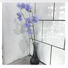 シャルムバイサラ(charme by sarah)のお店ロゴ