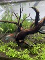 アル 武蔵境(aru)&nbsp;アクアリウムがとても好きです！