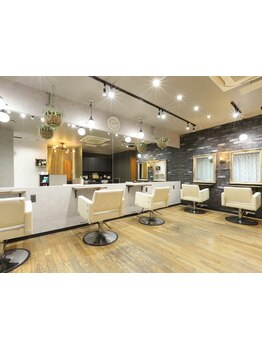 Hair make PACHARA 成増駅前店リニューアル！丁寧なカウンセリングで髪の悩みを解決します♪