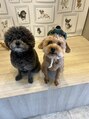 アズーラ 経堂(AZURA) 愛犬・コナ（左）とモカ（右）　犬好きな方、是非お話し下さい！