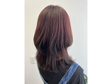 ルピナス(Lupinus)