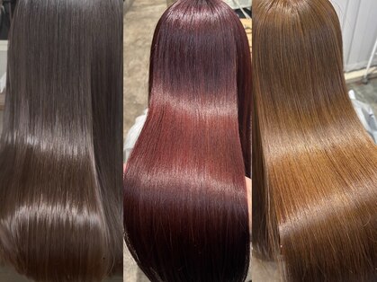 テト(teto)の写真