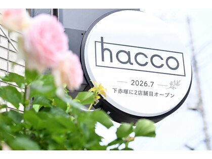ハッコ 成増店(hacco)の写真