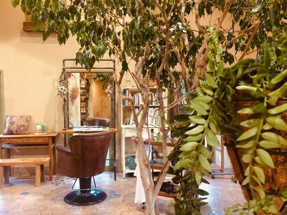 テトテ(tetote)の写真