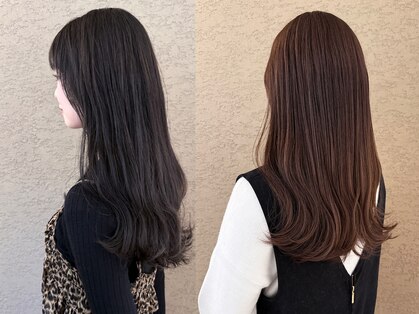 ビファインべクス(Befine becs)の写真
