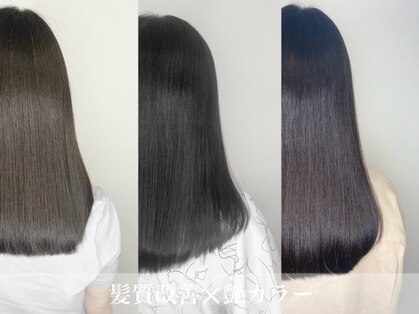 アバロン(Avalon)の写真