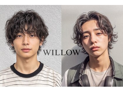ウィロー(WILLOW)の写真