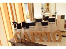 カッピオ(Cappio)の雰囲気（ミルボン商品取扱店）