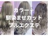 【カラー】馴染ませカット【プルエク★60本】26700円から