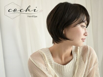 コチ(cochi)の写真