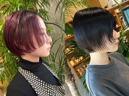 パルティール(Partir)の写真