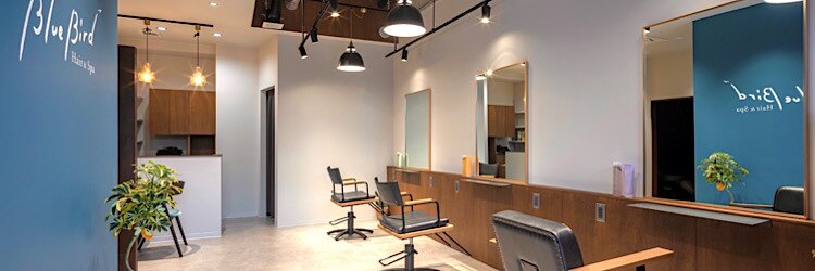 ブルーバード(Blue Bird)のサロンヘッダー