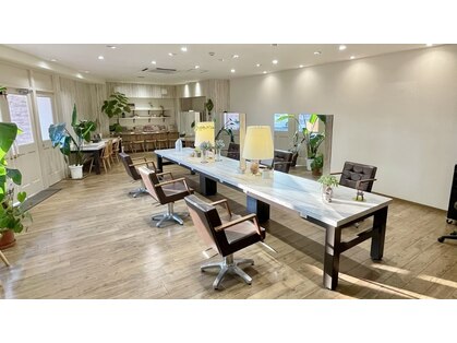 ビギニングス(BeginningS)の写真