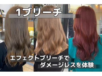 オリノ(olino)の写真