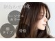 アイビー(ivy)の写真