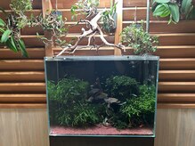 美容室 TBK 新三河島店の雰囲気（アクアリウムで癒しの空間作り。）