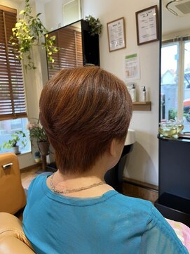 ヒノデ(Hinode) ショート