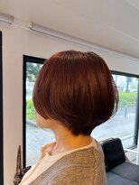 エルラド(LRAD)&nbsp;ショート