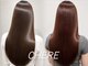 シェール(CHERE)の写真